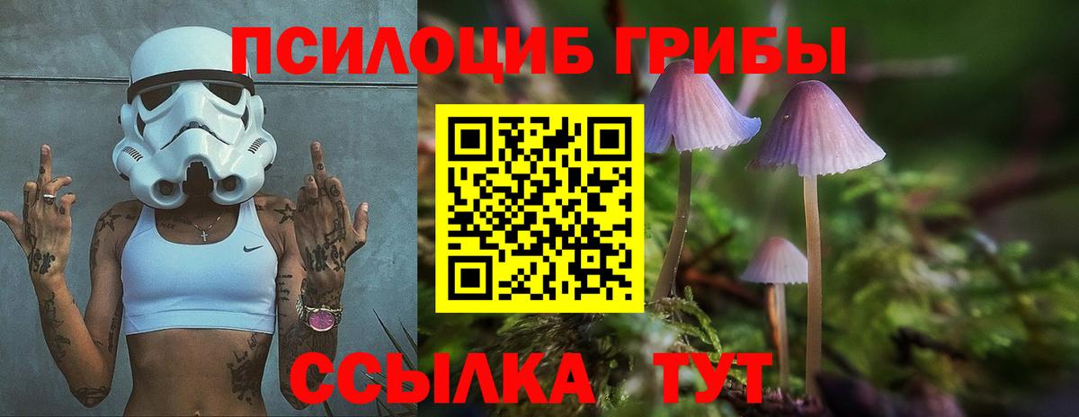 Псилоцибиновые грибы Psilocybe  Галлюциногенные грибы Psilocybe  Лянтор  Вход с VPN 